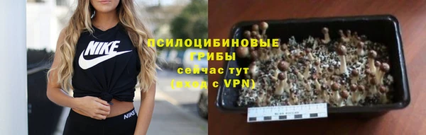 дживик Белокуриха