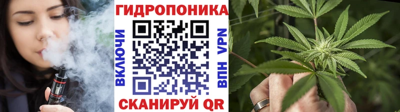 продажа наркотиков  Невель  Канабис план 